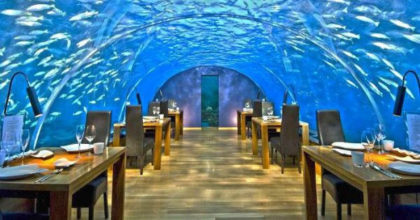 restauracja Malediwy